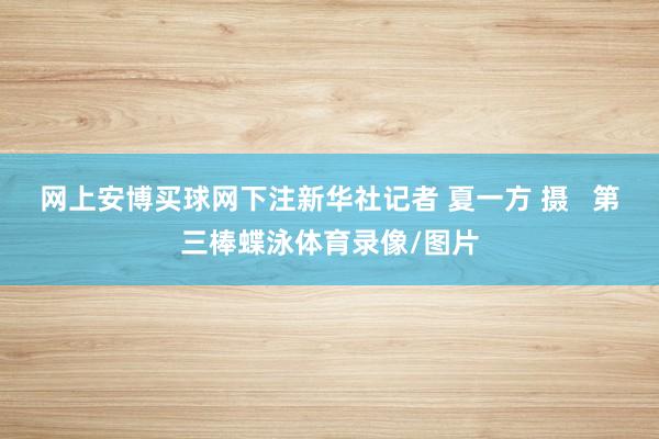 网上安博买球网下注新华社记者 夏一方 摄 第三棒蝶泳体育录像/图片