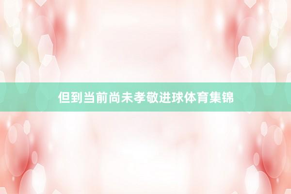 但到当前尚未孝敬进球体育集锦