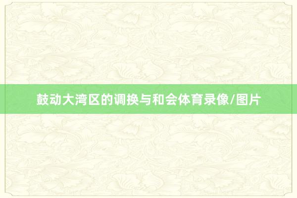 鼓动大湾区的调换与和会体育录像/图片