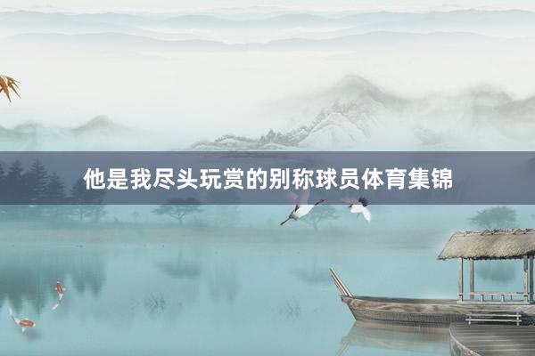 他是我尽头玩赏的别称球员体育集锦