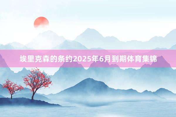 埃里克森的条约2025年6月到期体育集锦