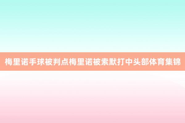 梅里诺手球被判点梅里诺被索默打中头部体育集锦
