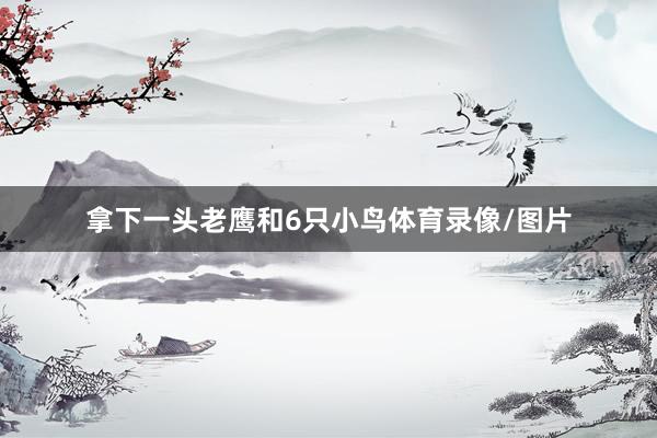 拿下一头老鹰和6只小鸟体育录像/图片