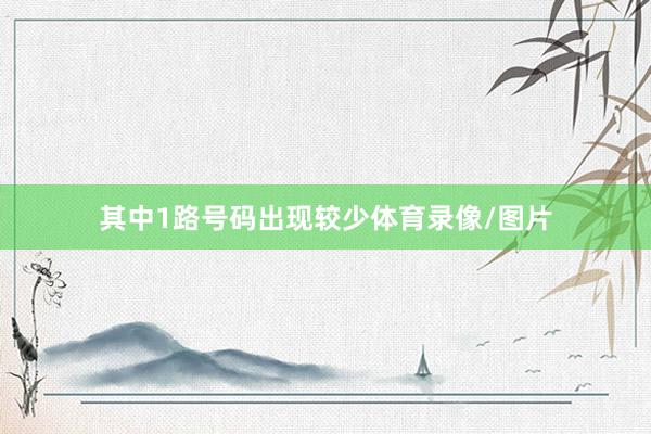其中1路号码出现较少体育录像/图片