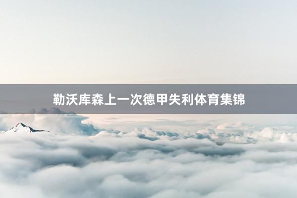 勒沃库森上一次德甲失利体育集锦