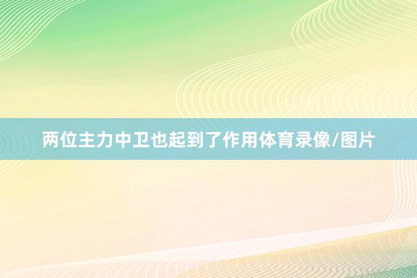 两位主力中卫也起到了作用体育录像/图片