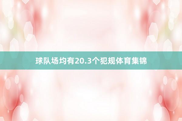 球队场均有20.3个犯规体育集锦